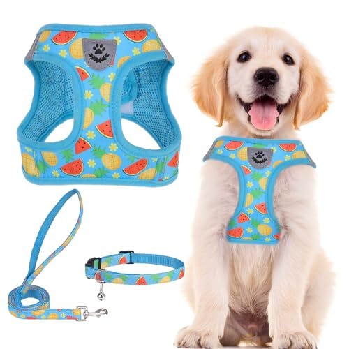 Dog Harness, Collar & Leash Set
