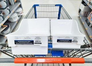 Mainstays Pantry Bins at Walmart