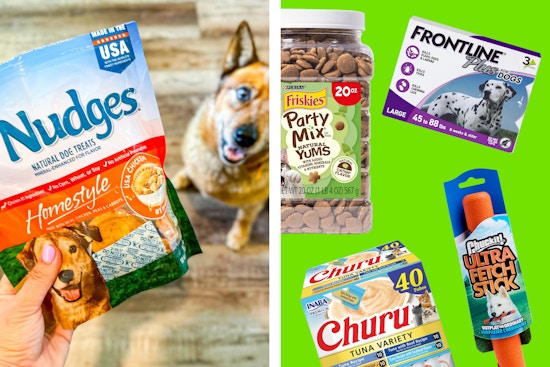 Amazon Pet Day Is Back: Up to 77% Off Toys, Treats, Pet Beds, and More