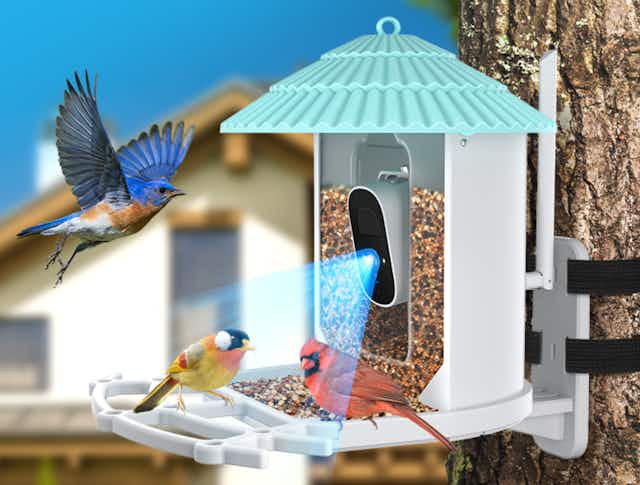 Smart Bird Feeder, Now $79.99 on Amazon card image