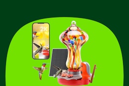 n hummingbird feeder