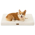 Orthopedic Dog Bed