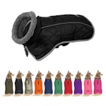 Dog Coat