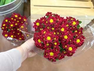trader-joes-sept-50