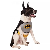 Batman Pet Halloween Costume