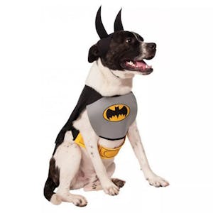 Batman Pet Halloween Costume
