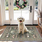 Washable Area Rug