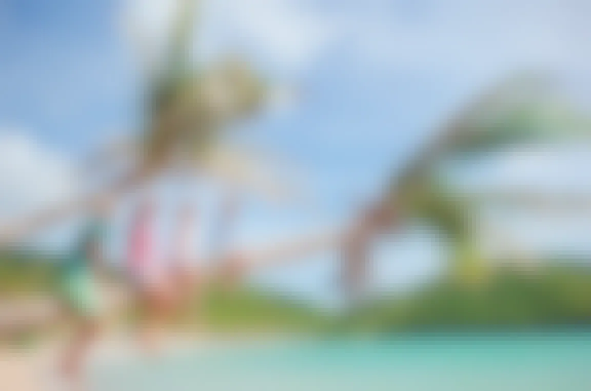 Costco 12 Days of Travel Deals: Cruises, Disney, Hawaii & More