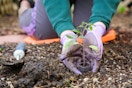 A person kneeling down on a cushion and planting a plant into a hole in the ground next to a small shovel.