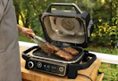 Ninja Woodfire 7-In-1 Grill