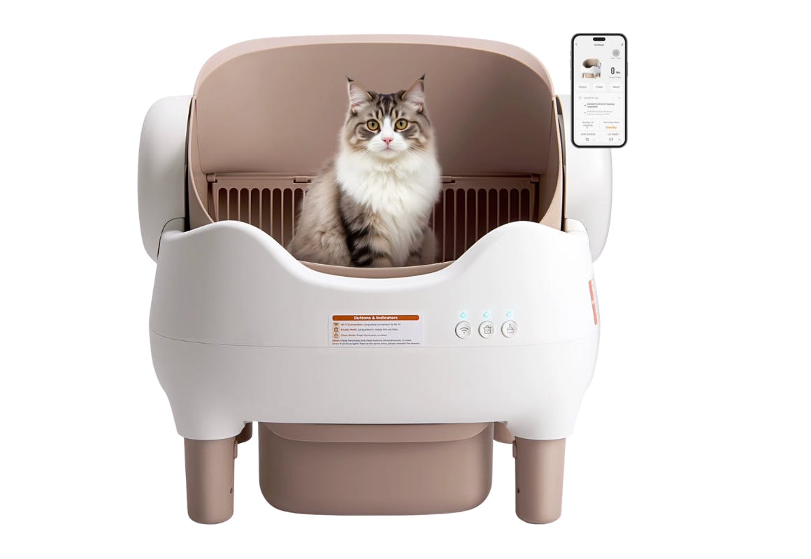 Self-Cleaning Litter Box