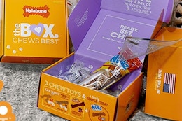 Nylabone Dog Gift Box, as Low as $7.50 on Amazon (Reg. $18.51) card image