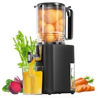Cold Press Juicer