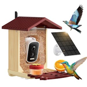 Bird Feeder with Camera