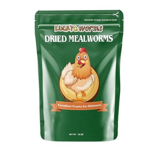 Dried Mealworms