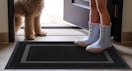 a dog and kid standing near a front door mat