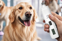 Top-Rated Professional Dog Nail Grinders, as Low as $7.99 on Amazon card image