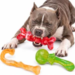 Tough Dog Toys 3-Pack