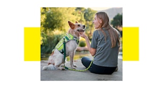 woman sitting with her dog wearing a harness