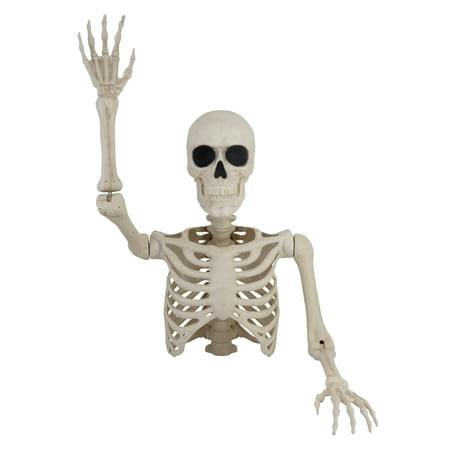 Way To Celebrate Skeleton Decoration