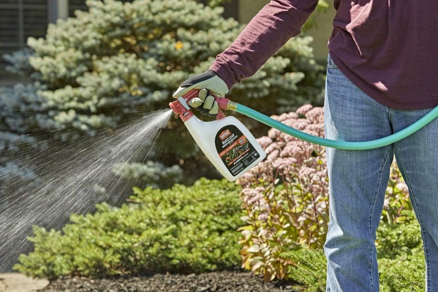 Ortho BugClear Insect Killer 1