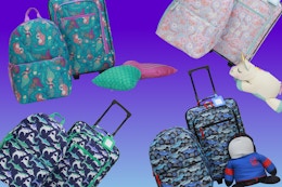 4-Piece Kids' Luggage Set, Only $28.54 at Walmart (8 Themes Available) card image
