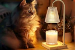 candle warmer lamp