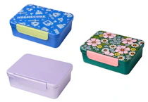 Cat & Jack Bento Box