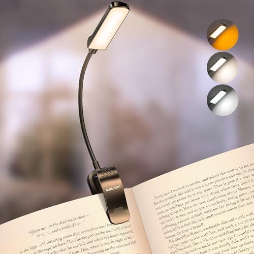 Rechargeable Book Light
