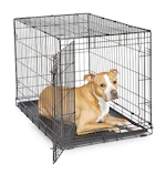 36-Inch Dog Crate