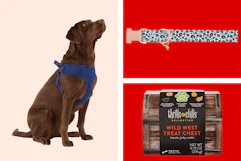 collage image of a dog wearing a harness, a box of dog treats, and a collar