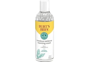 Burt’s Bees Foaming Face Wash