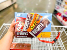 hand holding a hersheys variety pack