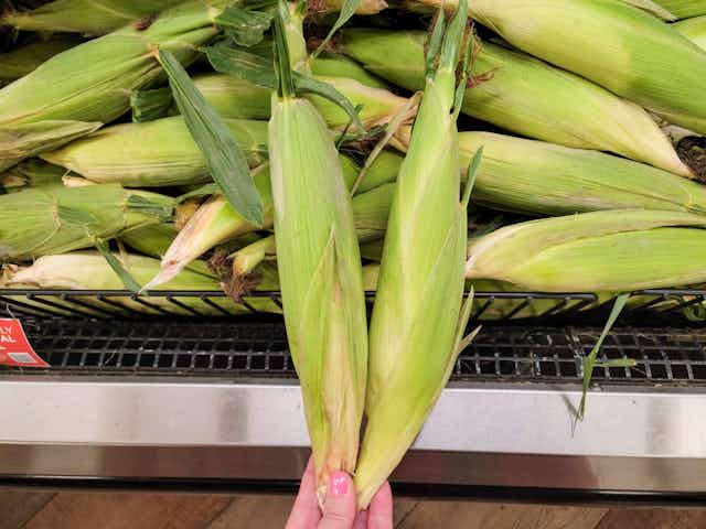 Fresh Yellow Corn, Only $0.25 With Kroger Digital Coupon card image