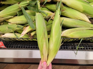 hand holding fresh corn in husk at kroger