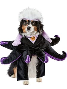 Rubies Ursula Pet Costume, Medium