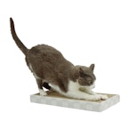 Doublewide Cardboard Cat Scratcher