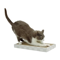 Doublewide Cardboard Cat Scratcher