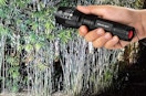 a hand holding a flashlight 