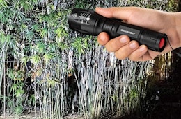a hand holding a flashlight 