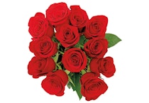 12-Stem Rose Bouquet