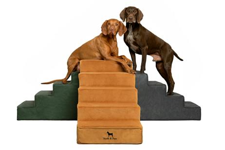 Noah & Paw Dog Stairs