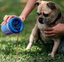Muddy Dog Paw Cleaner, Only $7.19 on Amazon (Reg. $11.99) card image