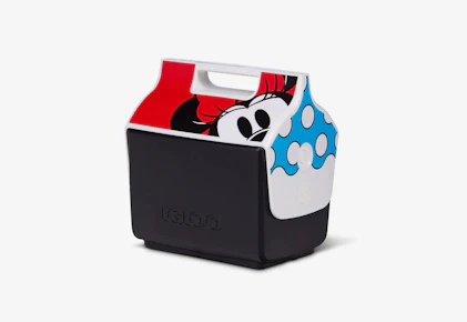 Igloo Cooler