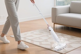 steam mop