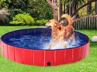 smilemart pet swimming pool