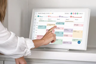 Walmart Skylight digital calendar