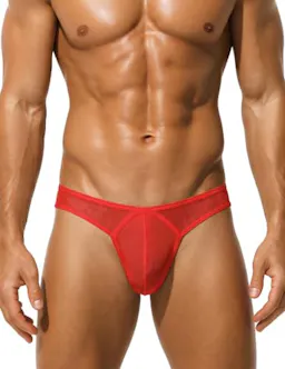 Men's Underwear Briefs