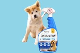 Active Pet Odor and Stain Eliminator, Now $17.95 With Amazon Coupon card image