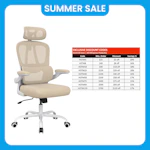 Ergonomic Office Chair